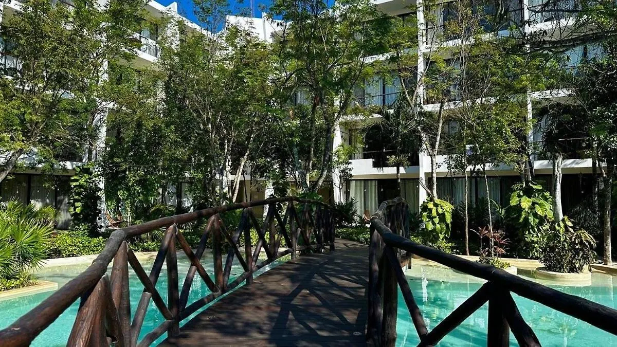 Estudio Con Piscina Privada | Gimnasio | Relax Tulum Mexico